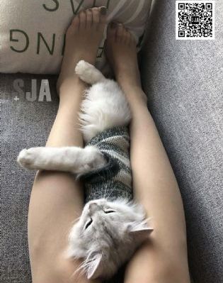 麻豆国色专区_超清全集免费观看
