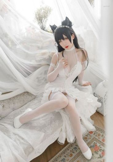 主播视频网页版_1080P完整在线观看